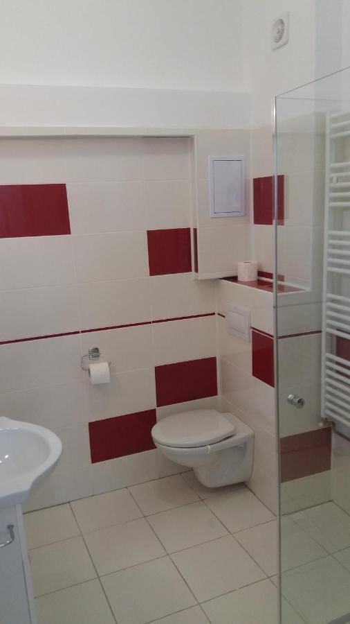 Проживание в семье Apartament Roza Брашов-35