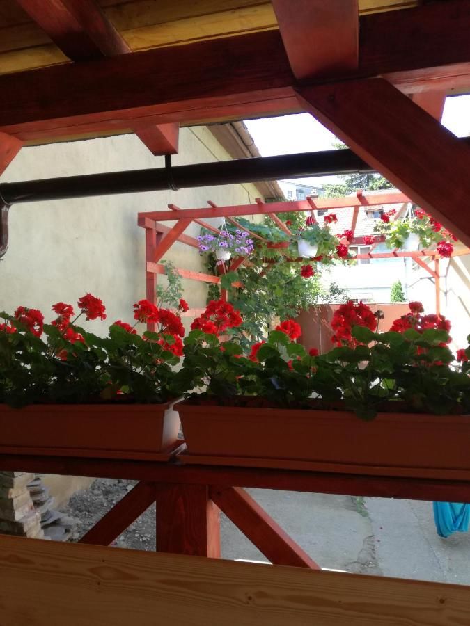 Проживание в семье Apartament Roza Брашов-12