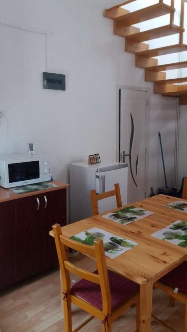 Проживание в семье Apartament Roza Брашов-33