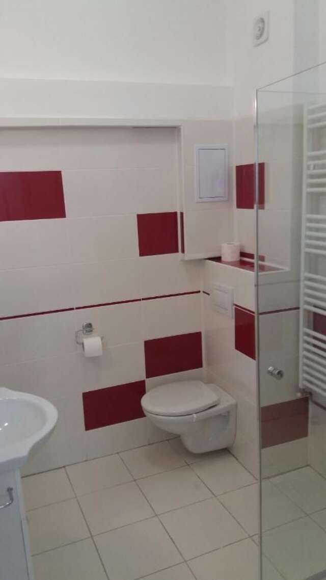Проживание в семье Apartament Roza Брашов-34