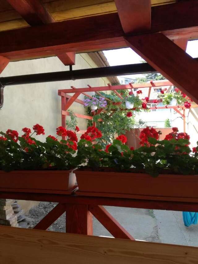 Проживание в семье Apartament Roza Брашов-11